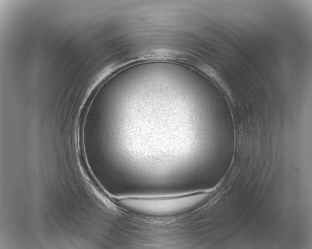 X0000078891083200611271346