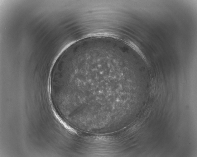 X0000078891084200611271346