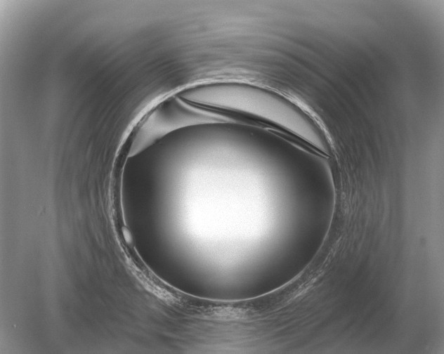 X0000078891085200611271346