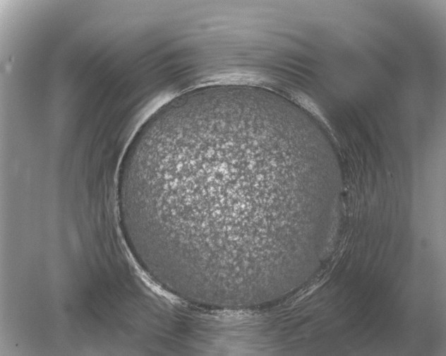 X0000078891087200611271346