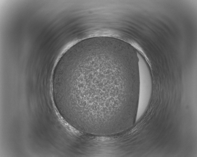 X0000078891088200611271346