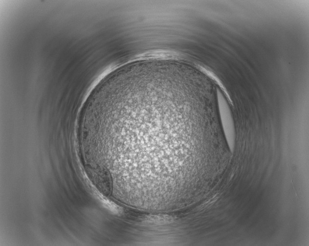 X0000078891091200611271346