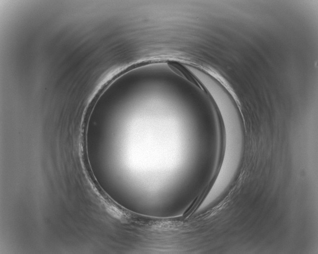 X0000078891093200611271346