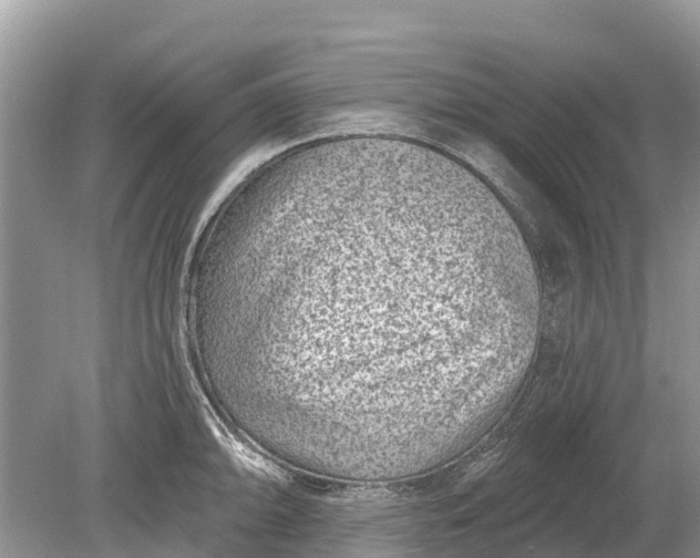 X0000078891094200611271346