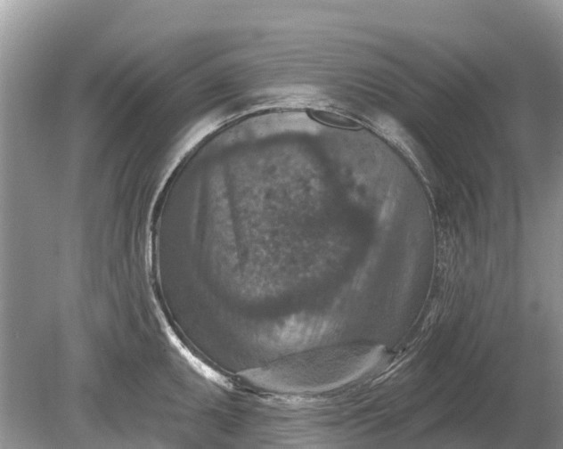 X0000078891095200611271346