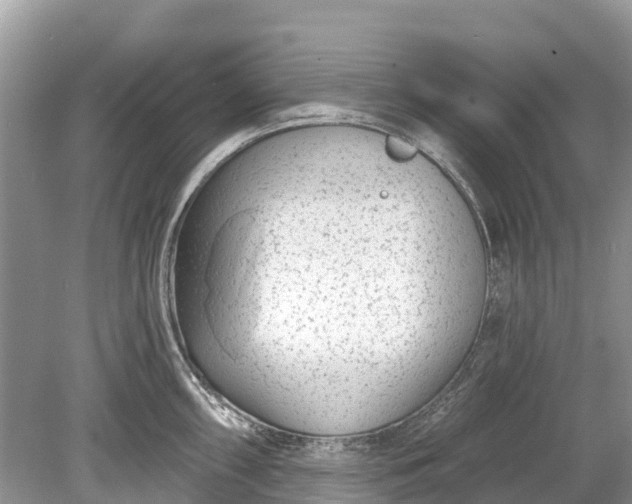 X0000078891098200611271346