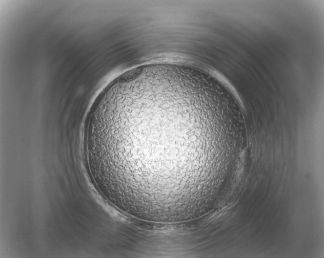 X0000078891099200611271346