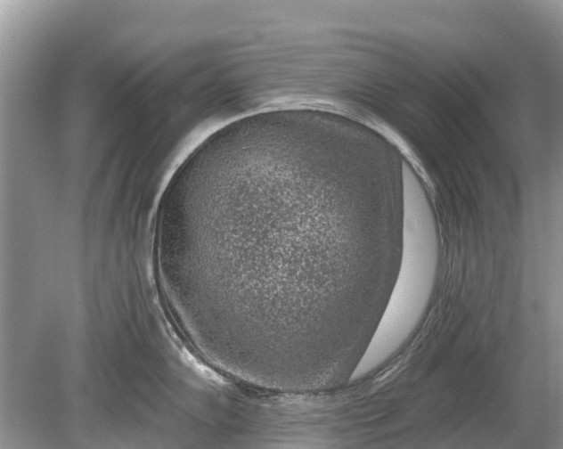 X0000078891102200611271346