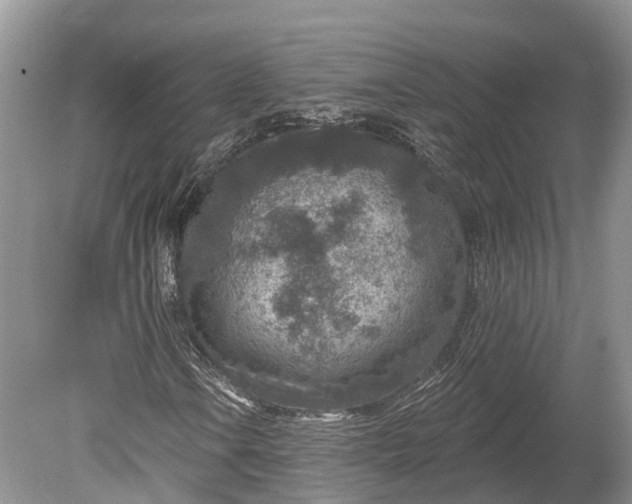 X0000078891106200611271345