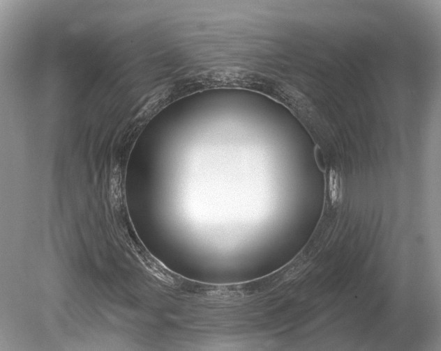 X0000078891107200611271345