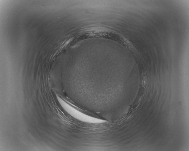 X0000078891108200611271345