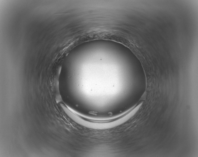 X0000078891109200611271345