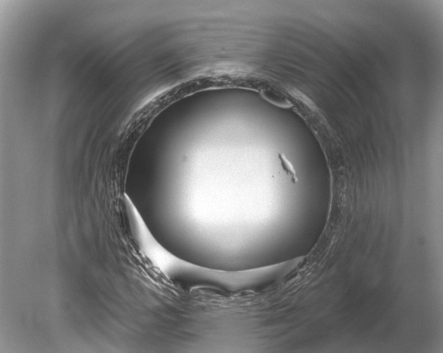 X0000078891112200611271345