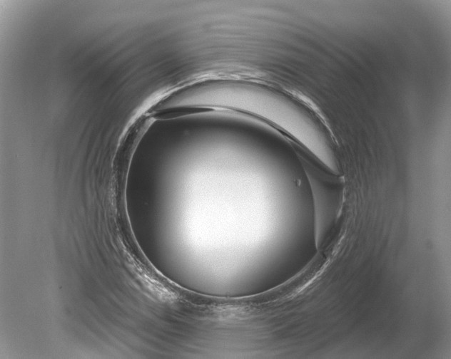 X0000078891114200611271345