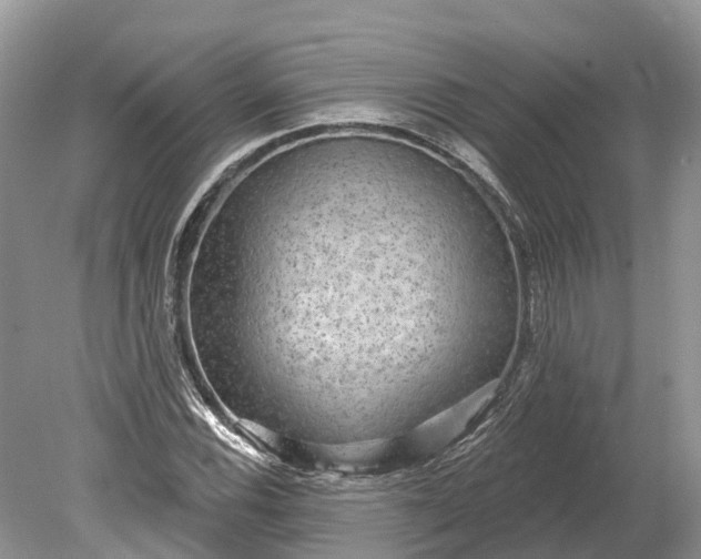 X0000078891116200611271345