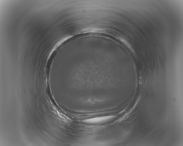 X0000078891117200611271345