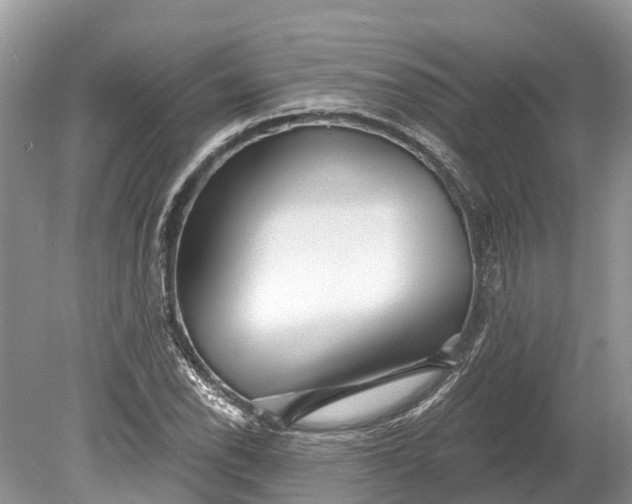 X0000078891118200611271345