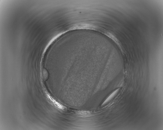 X0000078891120200611271345