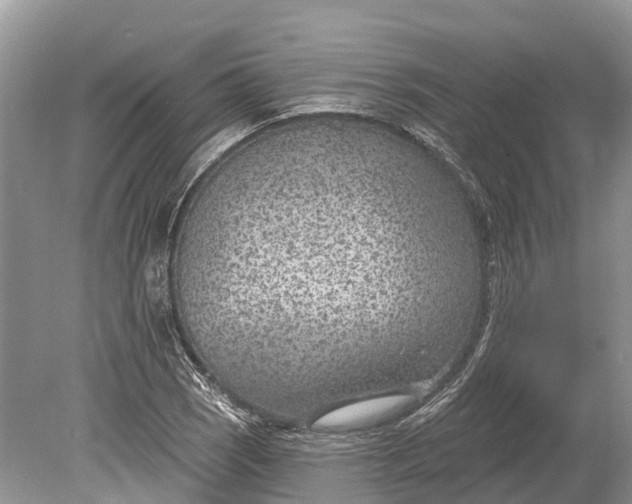 X0000078891121200611271345