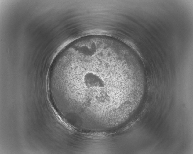 X0000078891125200611271346