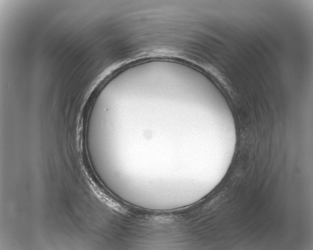 X0000078891126200611271346