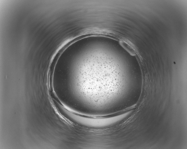 X0000078891128200611271346