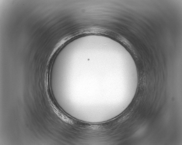 X0000078891130200611271346