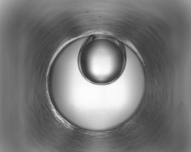 X0000078891132200611271346