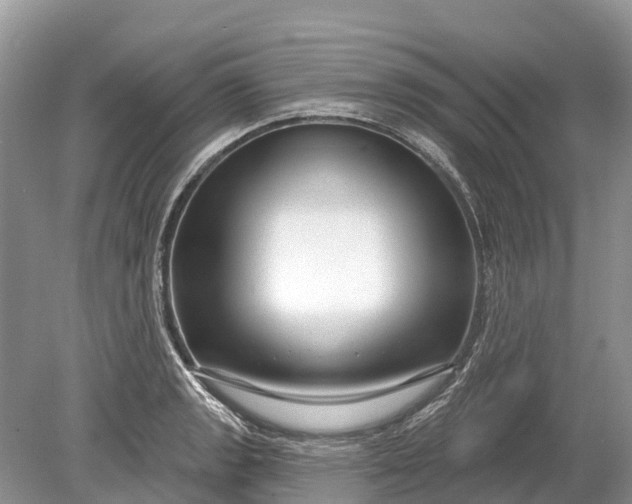 X0000078891133200611271346