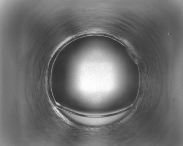 X0000078891134200611271346