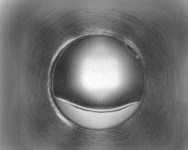 X0000078891136200611271346