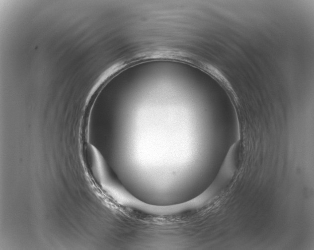 X0000078891138200611271346