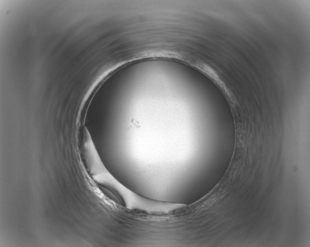 X0000078891140200611271346