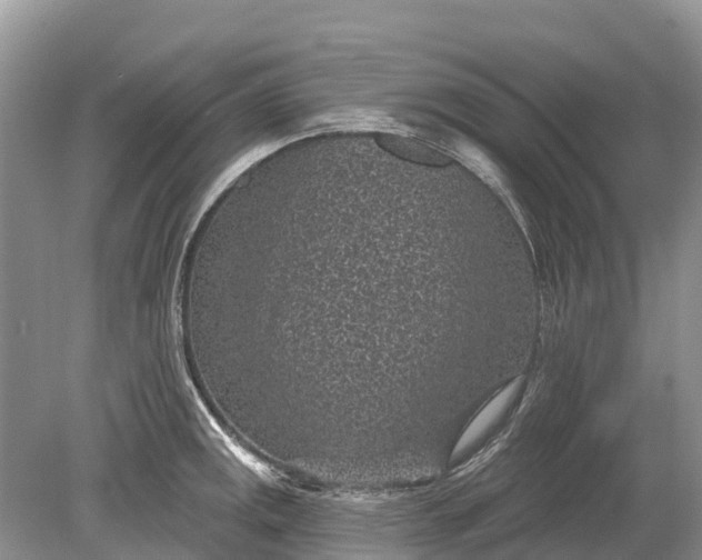 X0000078891141200611271346