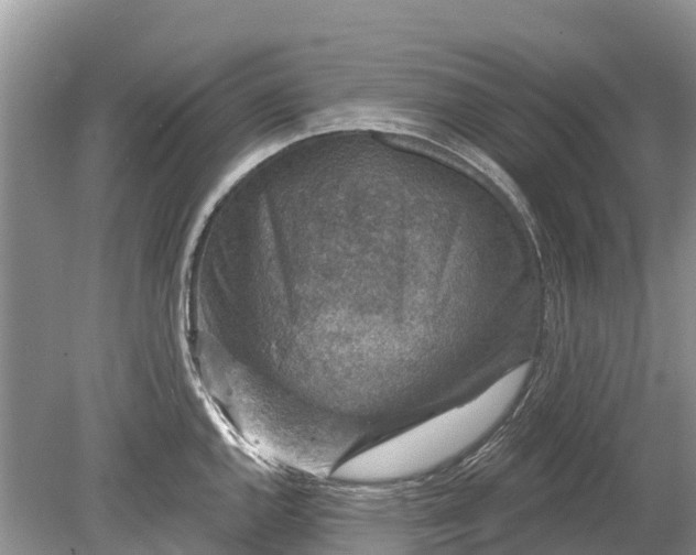 X0000078891144200611271346