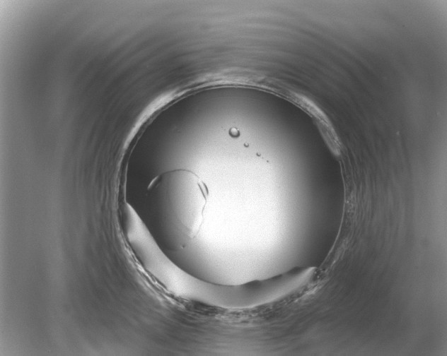 X0000078891146200611271346