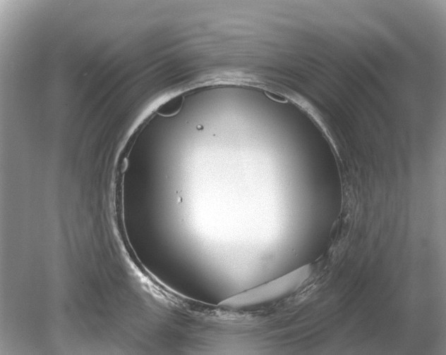 X0000078891147200611271346