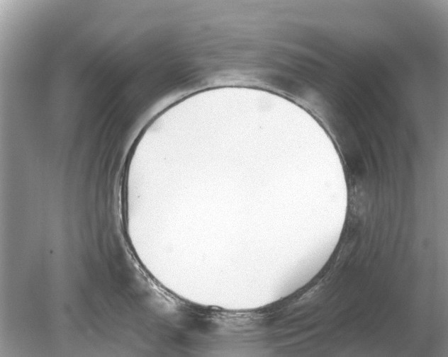 X0000078891150200611271346