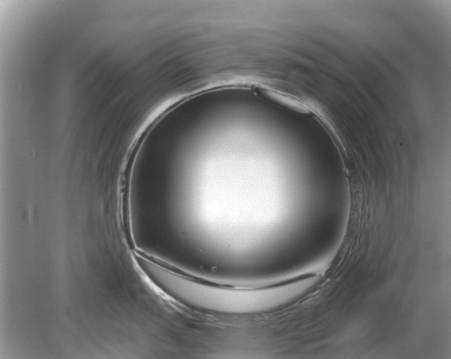 X0000078891151200611271346