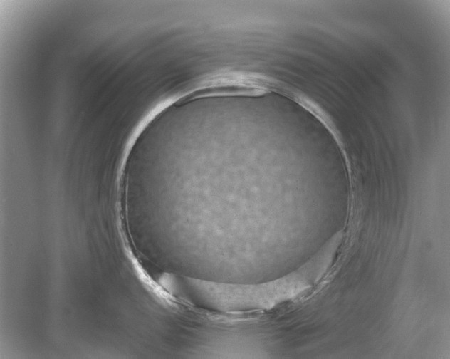 X0000078891152200611271346