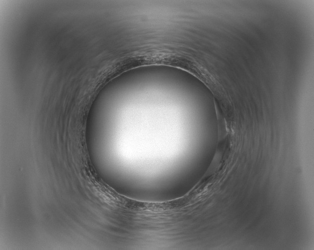 X0000078891153200611271345