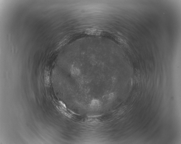 X0000078891154200611271345