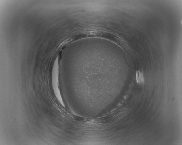 X0000078891155200611271345