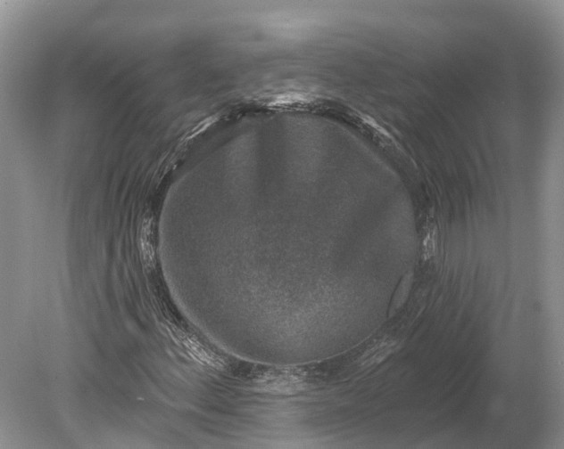 X0000078891156200611271345