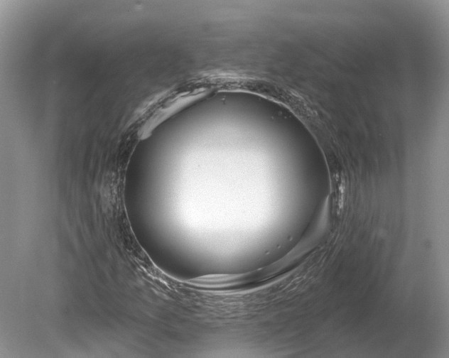 X0000078891157200611271345