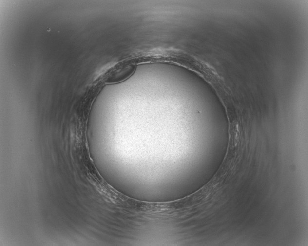 X0000078891158200611271345