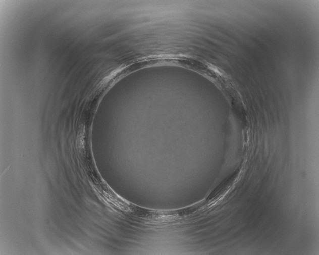 X0000078891161200611271345