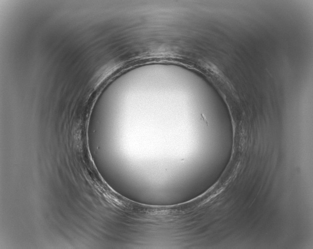 X0000078891162200611271345