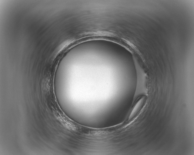 X0000078891163200611271345