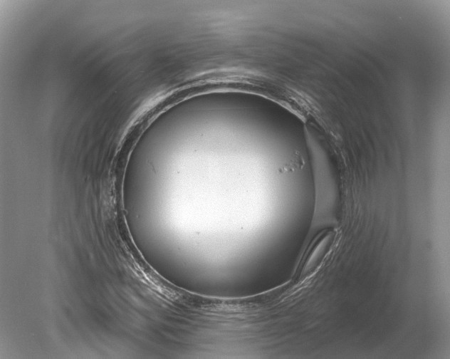 X0000078891164200611271345